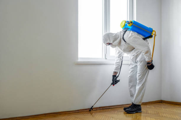 Professional Pest Control in Dickinson, TX