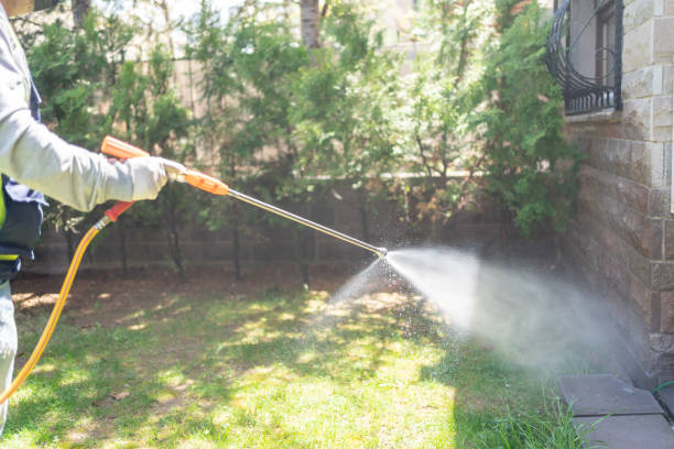 Best Pest Control Treatment  in Dickinson, TX