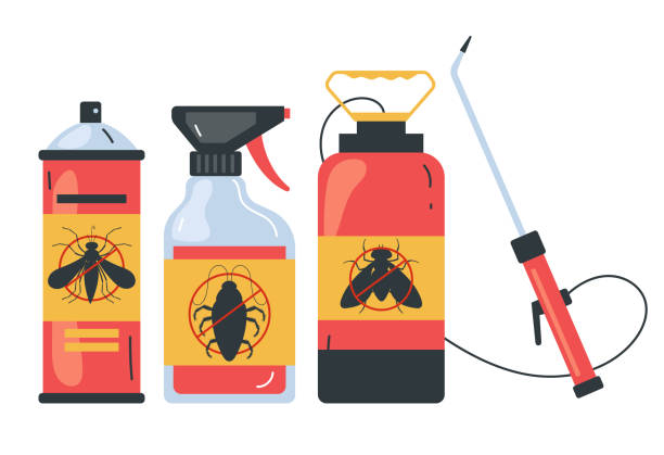 Best Local Pest Control Services  in Dickinson, TX