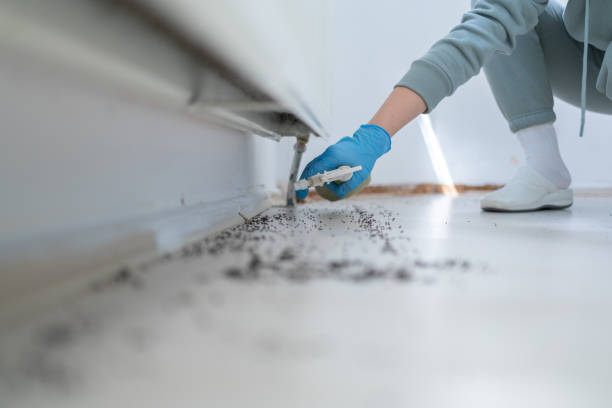 Best Pest Prevention Services  in Dickinson, TX